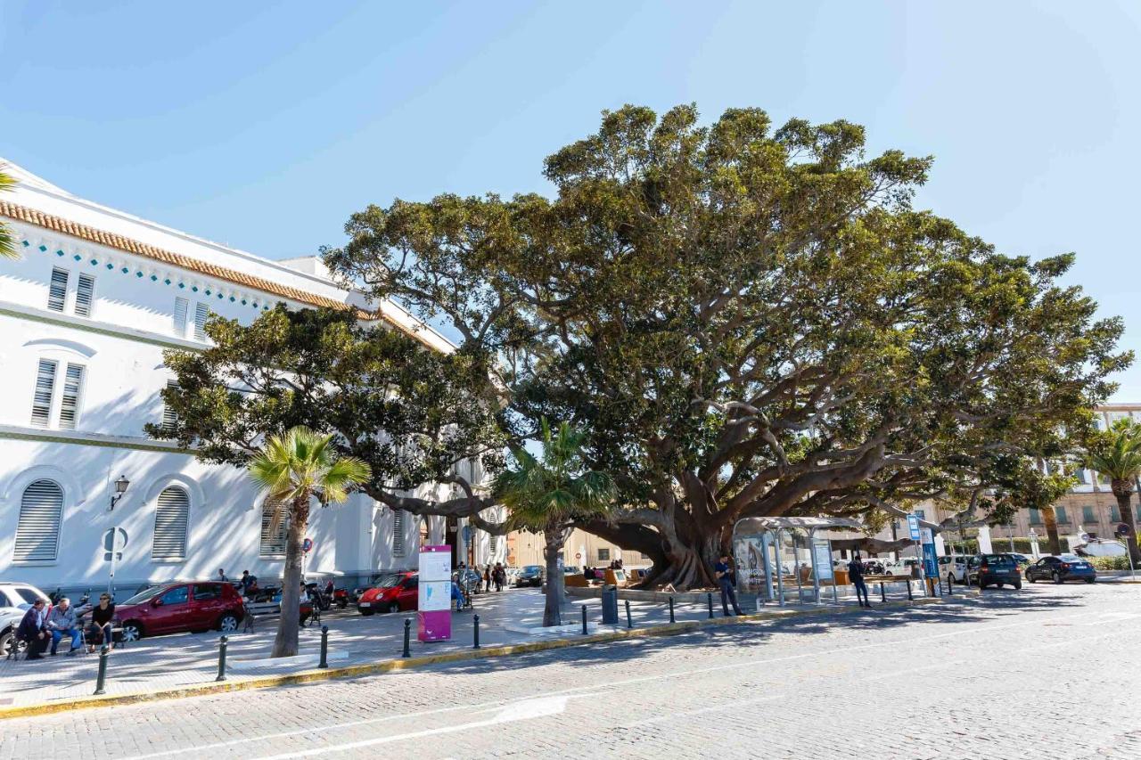 El Tesoro De La Caleta By Cadiz4Rentals ภายนอก รูปภาพ